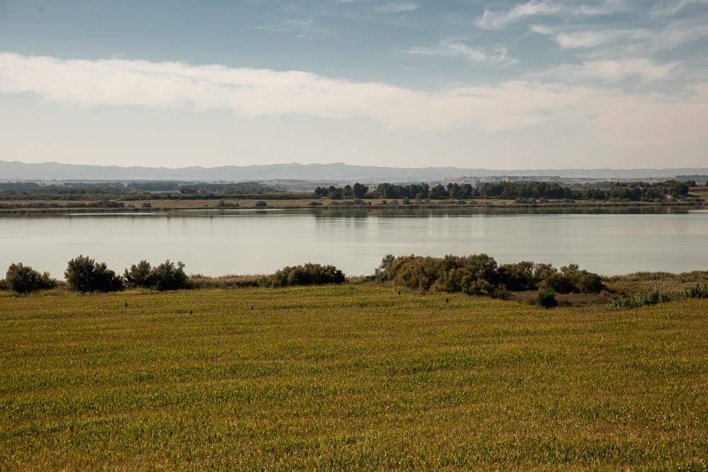 Laguna de Sariñena 