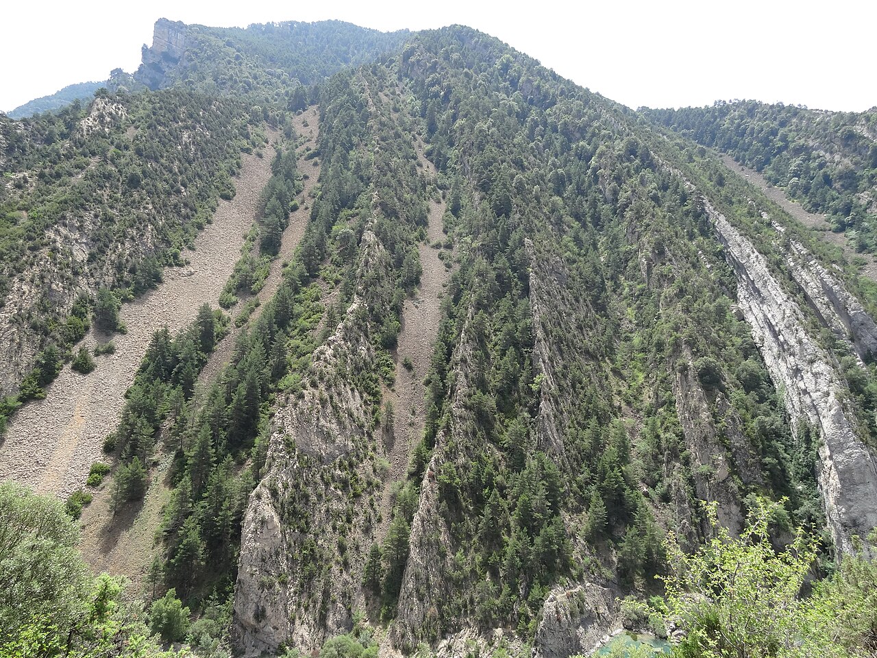 Río Ara en el entorno de Boltaña, Sobrarbe