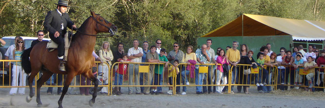 feria caballar san miguel graus