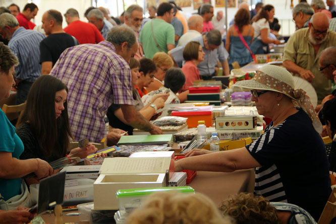 feria replega monzon